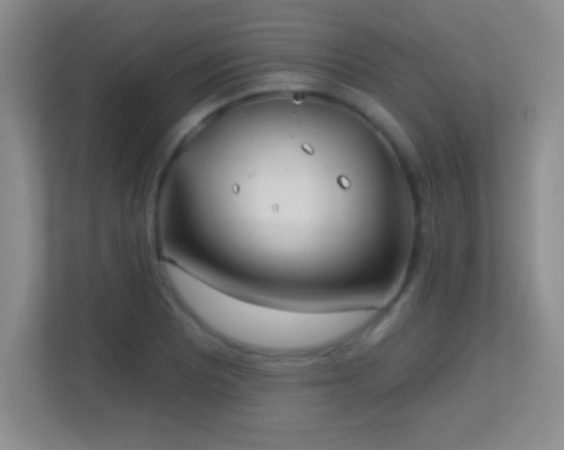 X0000113861081200909241303