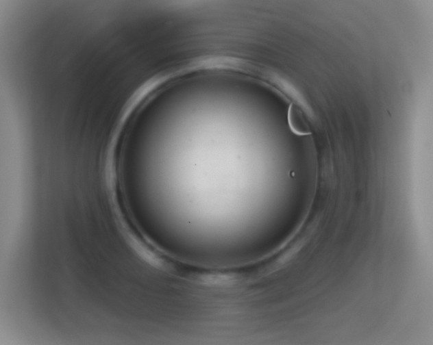X0000113861082200909241303
