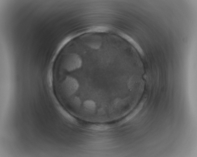 X0000113861083200909241303