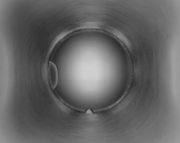 X0000113861085200909241303