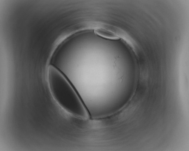 X0000113861088200909241303