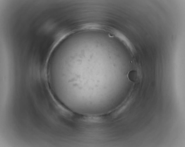 X0000113861090200909241303