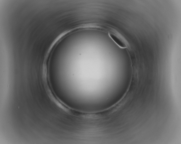X0000113861092200909241303