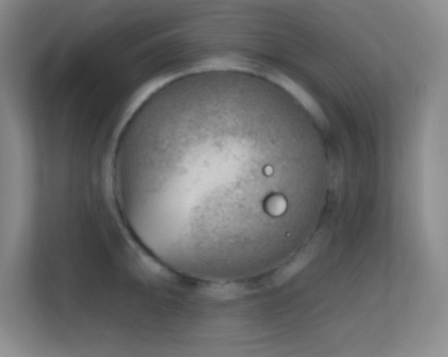 X0000113861094200909241303
