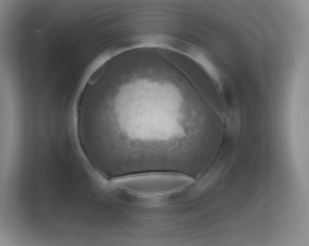 X0000113861096200909241303