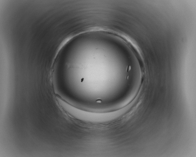 X0000113861097200909241303