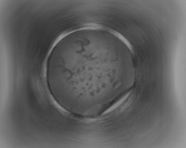 X0000113861099200909241303