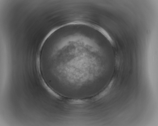 X0000113861100200909241303