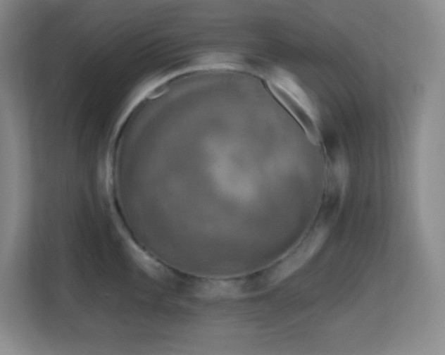 X0000113861101200909241302