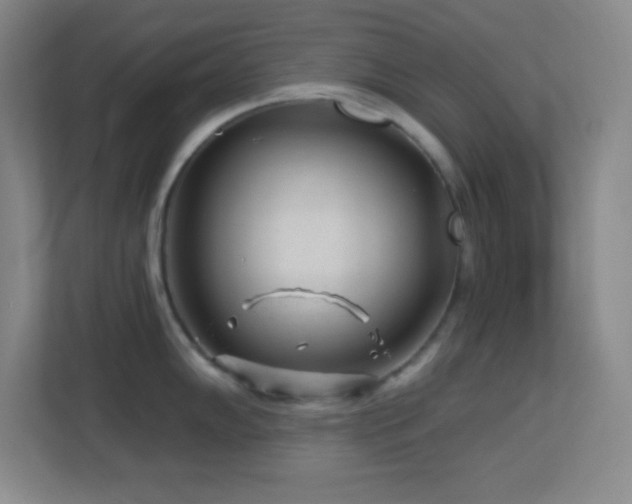 X0000113861102200909241302