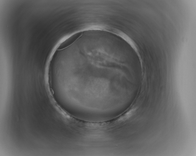 X0000113861104200909241302