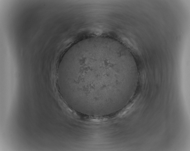 X0000113861105200909241302