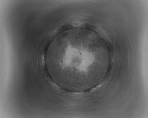 X0000113861106200909241302