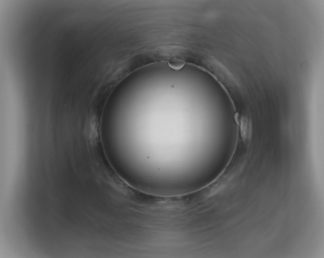 X0000113861107200909241302