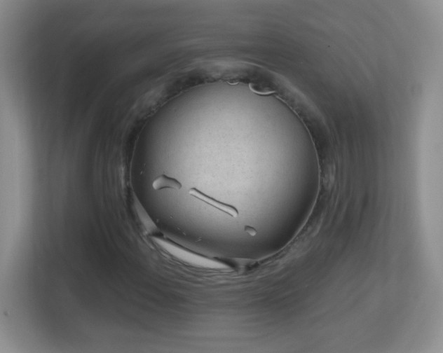 X0000113861108200909241302