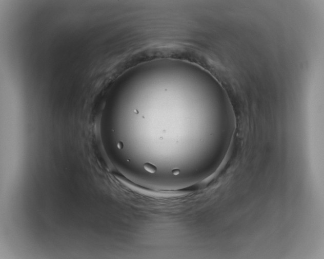 X0000113861109200909241302