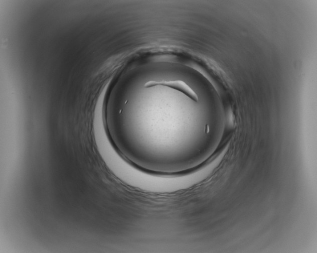 X0000113861110200909241302