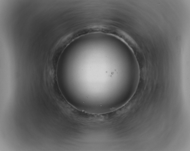 X0000113861111200909241302