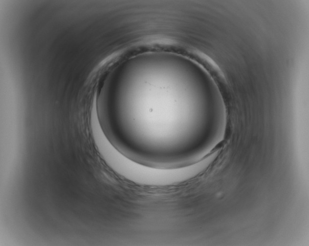 X0000113861112200909241302