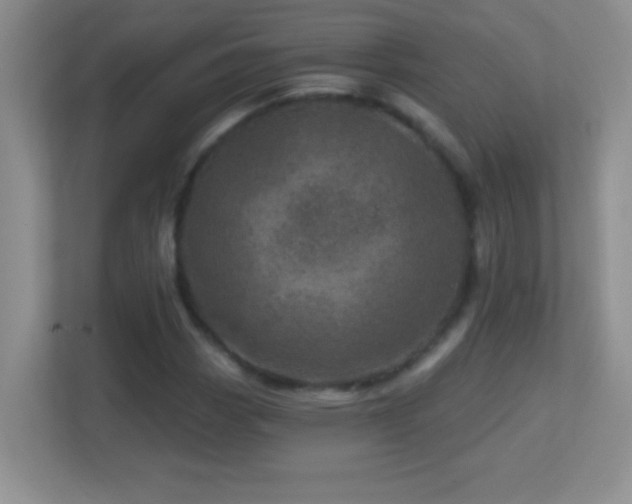 X0000113861113200909241302