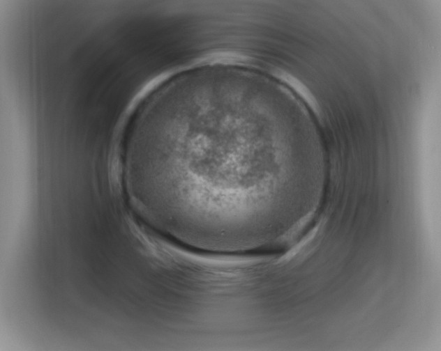 X0000113861115200909241302