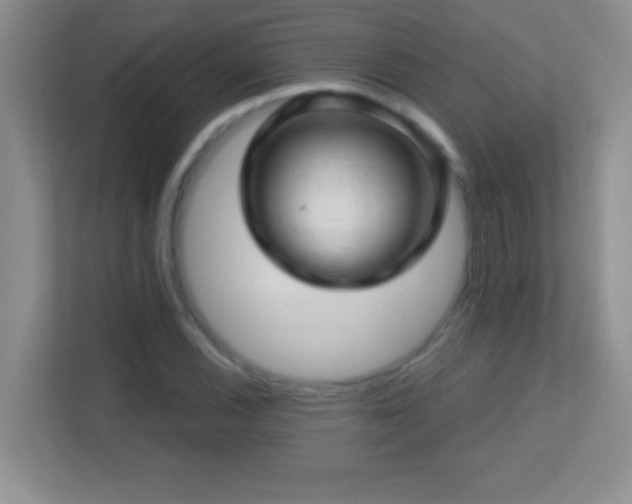 X0000113861116200909241302