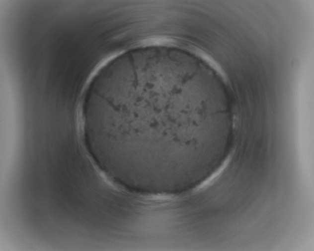 X0000113861117200909241302