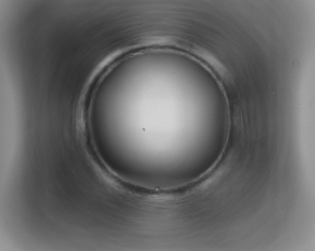 X0000113861118200909241302