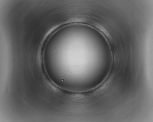 X0000113861119200909241302