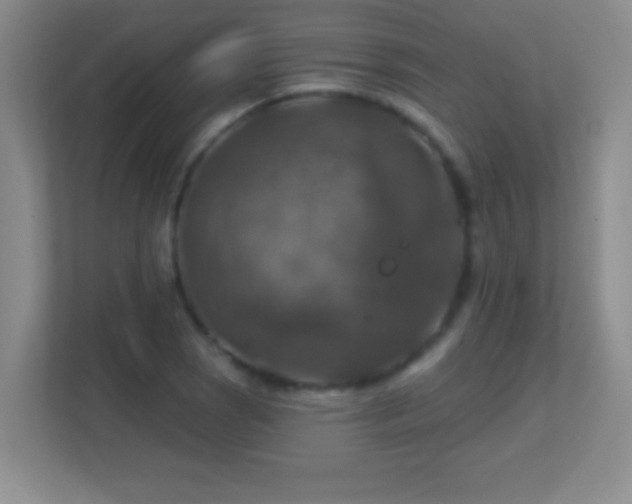 X0000113861121200909241302