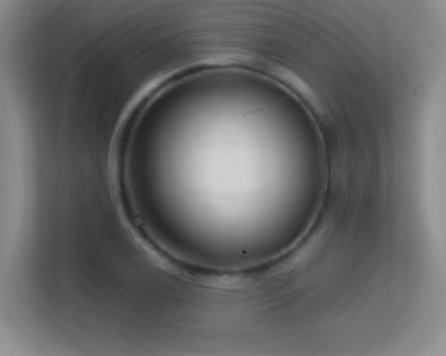 X0000113861122200909241302
