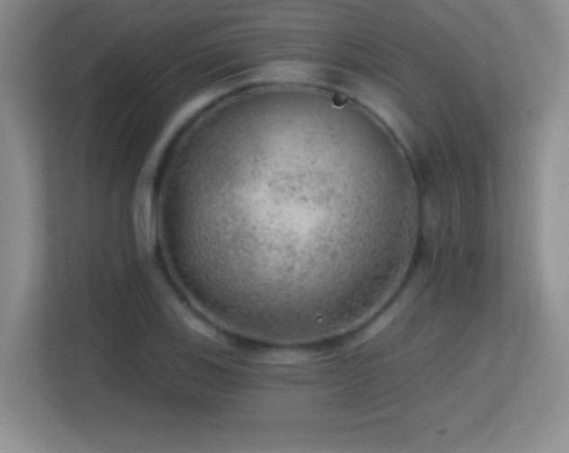 X0000113861123200909241302