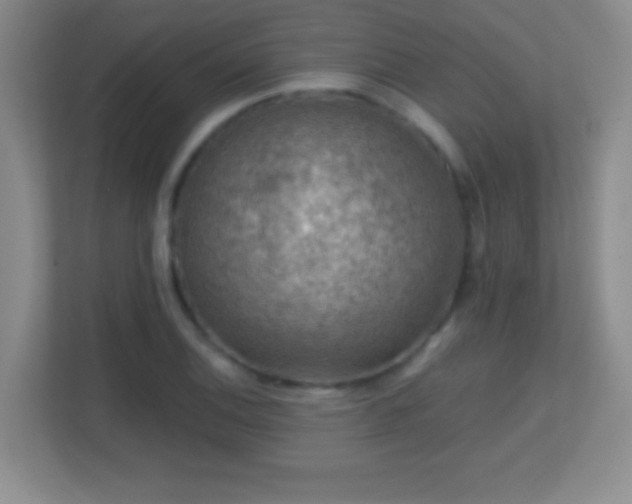 X0000113861124200909241302