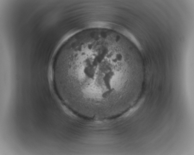 X0000113861125200909241302