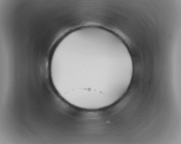 X0000113861126200909241302