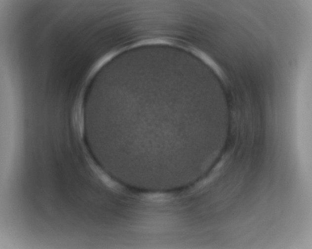 X0000113861127200909241302