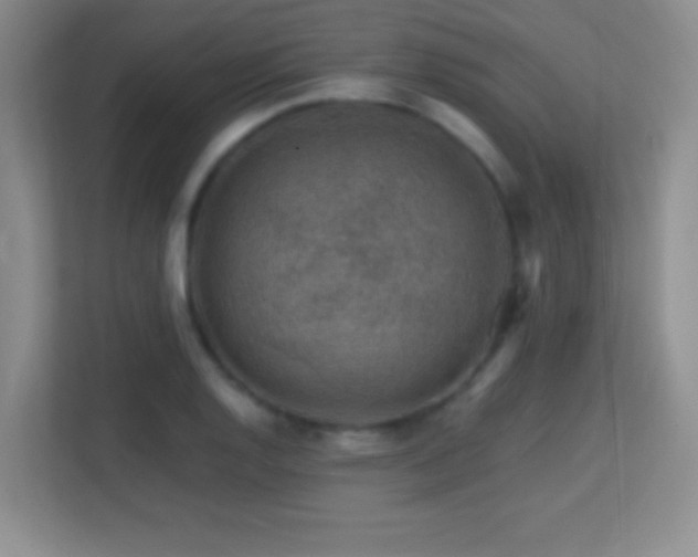 X0000113861128200909241302
