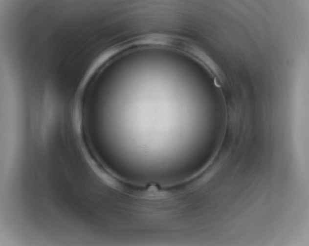 X0000113861131200909241302