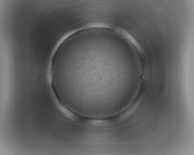 X0000113861132200909241302