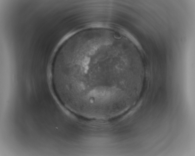 X0000113861133200909241302