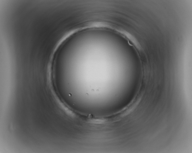 X0000113861134200909241302