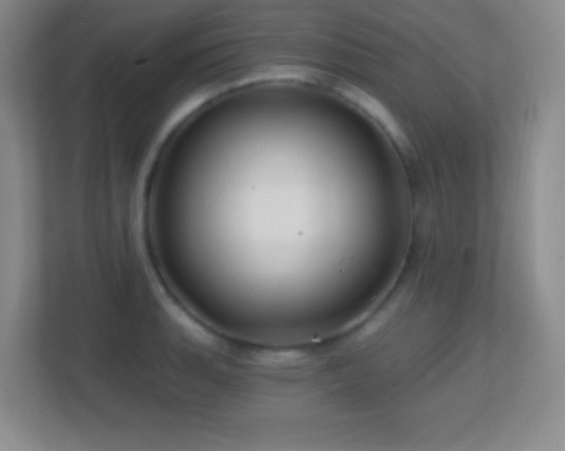 X0000113861135200909241302