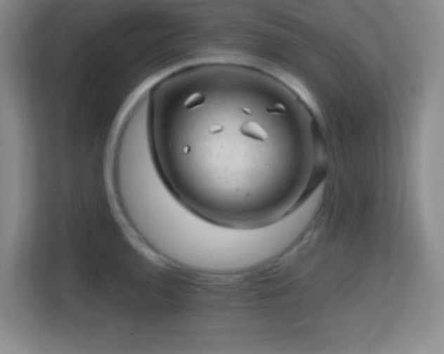 X0000113861136200909241302