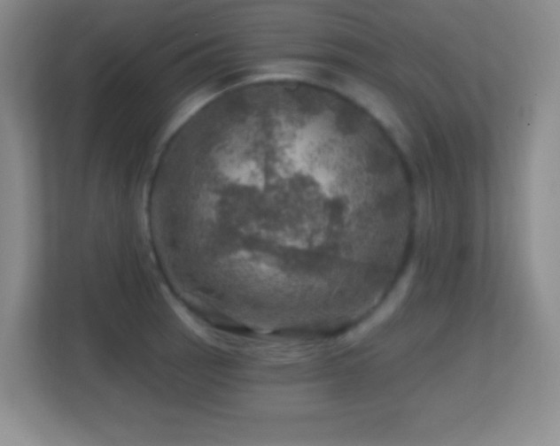 X0000113861137200909241302