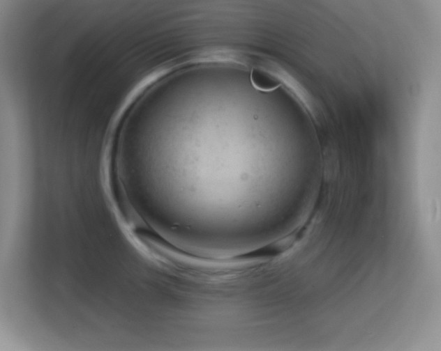 X0000113861139200909241302