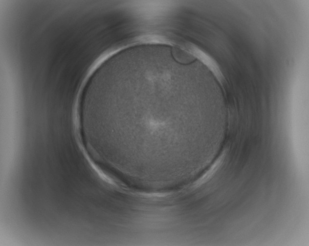 X0000113861141200909241302