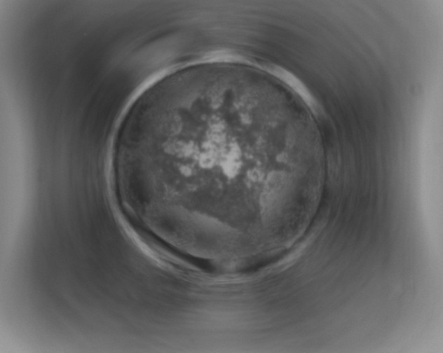 X0000113861142200909241302