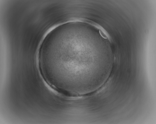 X0000113861143200909241302