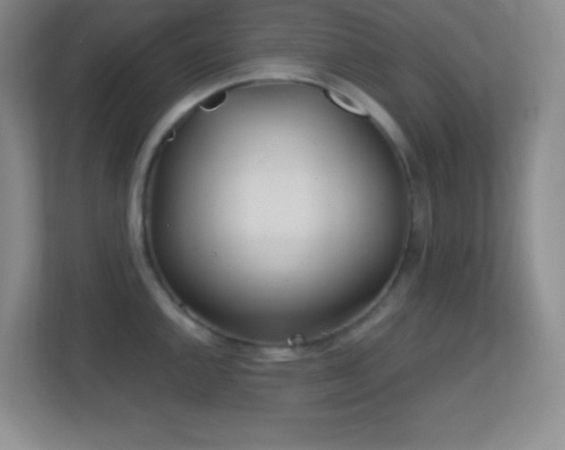 X0000113861144200909241302