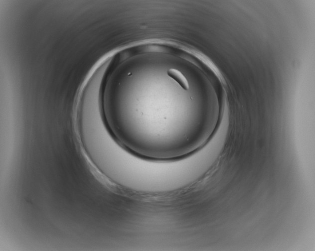 X0000113861148200909241302